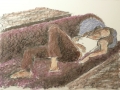 p1060294