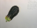p1040163