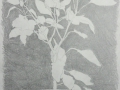 p1040314