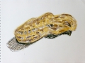 p1040103