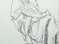p1060096